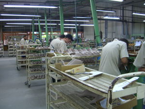 愛瑪與巴西著名鞋楦廠深入交流，共探制鞋技術新高度